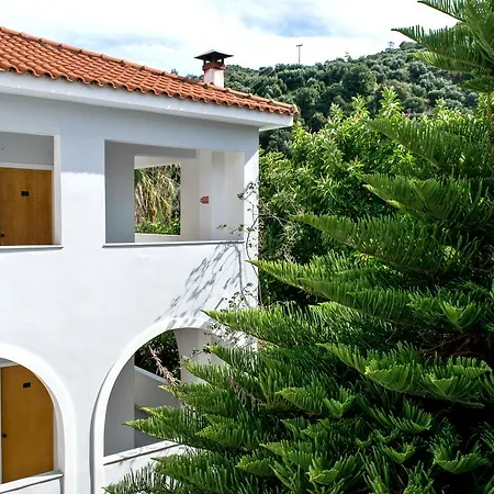 Paradise 3* Argassi