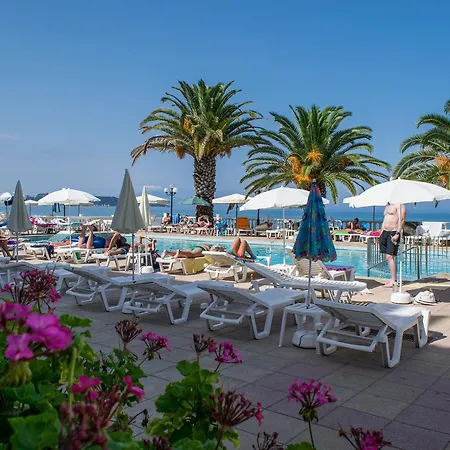 Paradise 3* Argassi