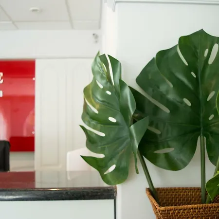 Paradise 3* ארגאסי