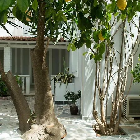 Hotel Paradise Argassi