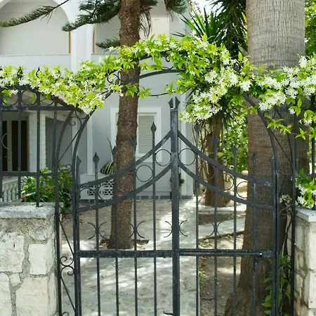 Paradise Αργάσι